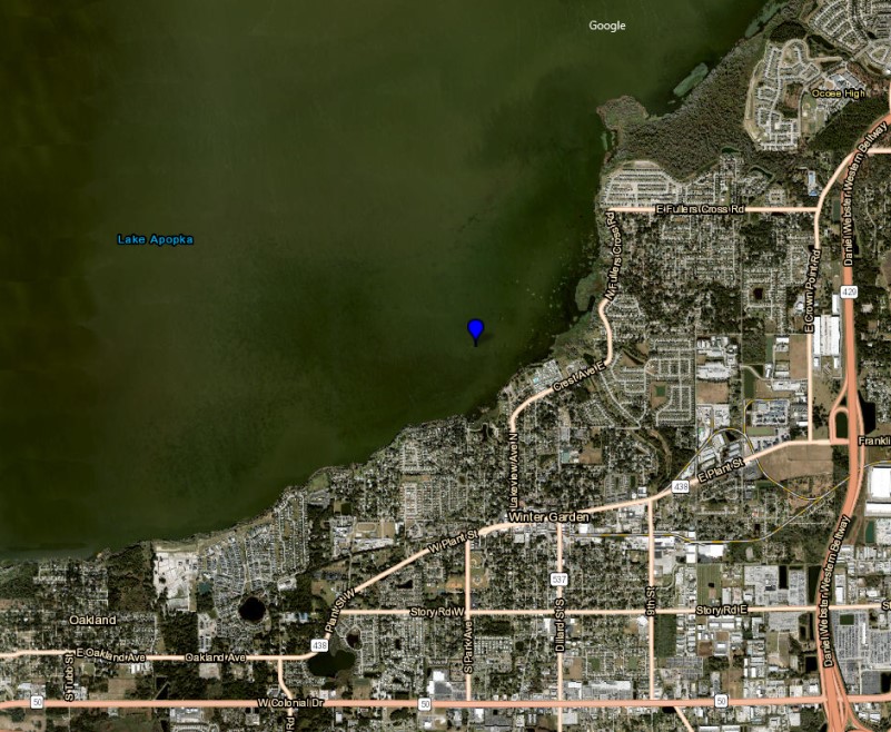 Blue green algae alert for Lake Apopka