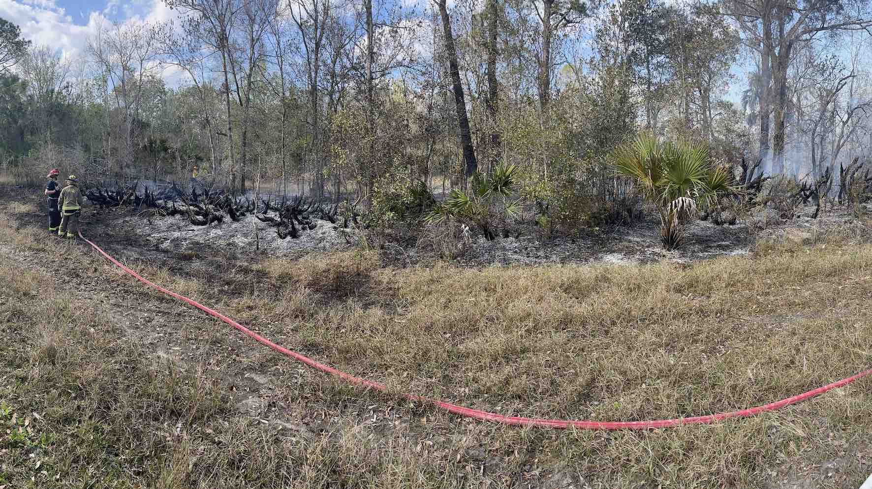 5 Acre Brush Fire In Oviedo Contained By Firefighting Crews Orlando 6313