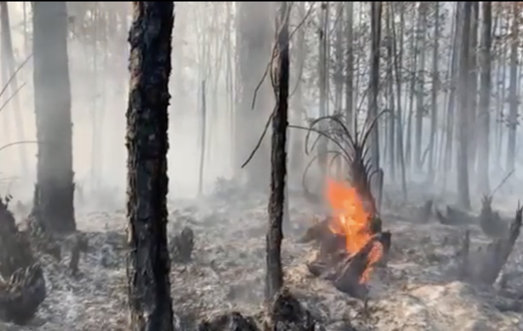 Brush fire in Geneva on April 2