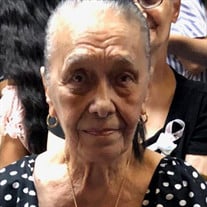 Carmen Ada Marrero Velez