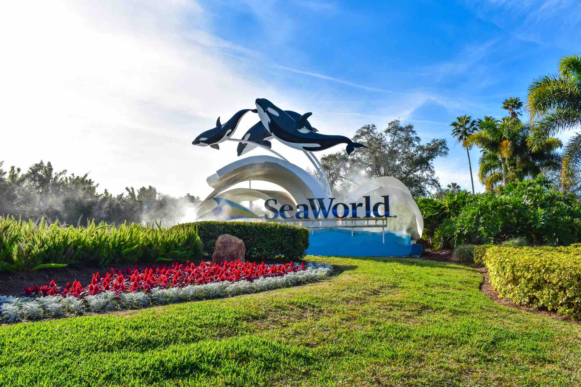Military Free tickets to SeaWorld available again
