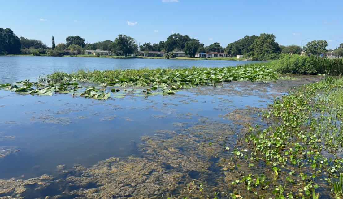 Blue Green Algae CAUTION SUNSET Lake w shore jun2023