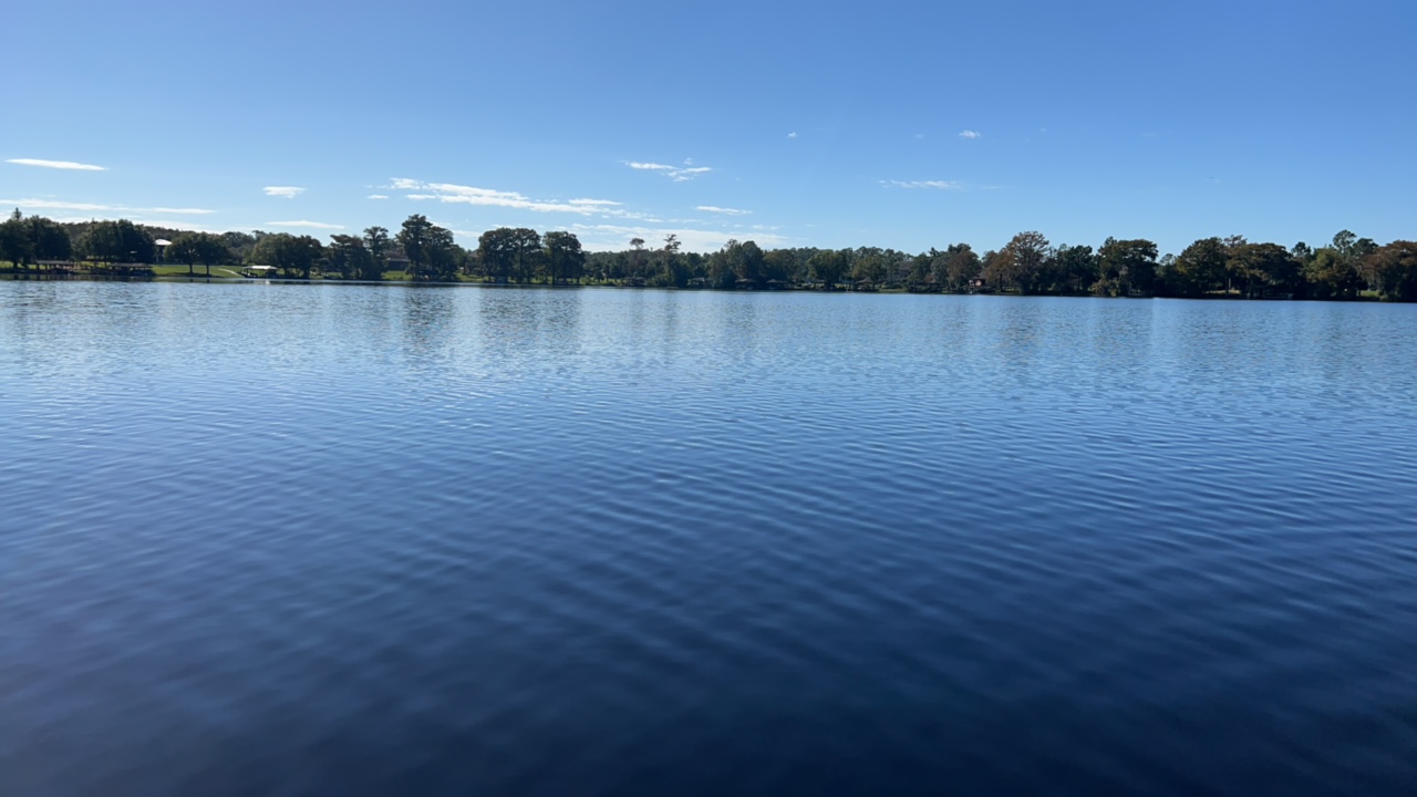 Lake Drawdy Center Bloom