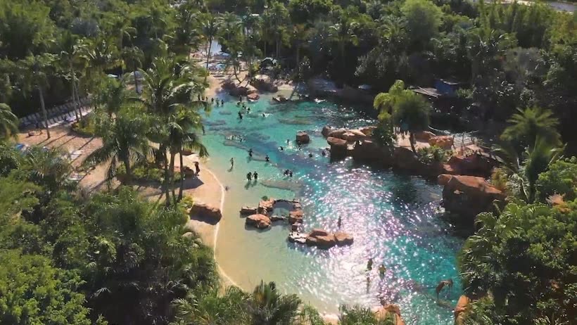 Discovery Cove located at 6000 Discovery Cove Way in Orlando (Photo: Discovery Cove)