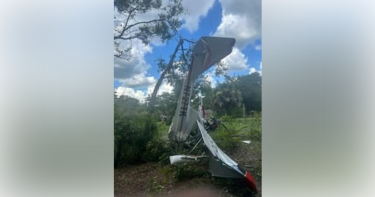 A small plane crashed near DeLand on June 26, 2024. (Photo: Volusia County Sheriff's Office)