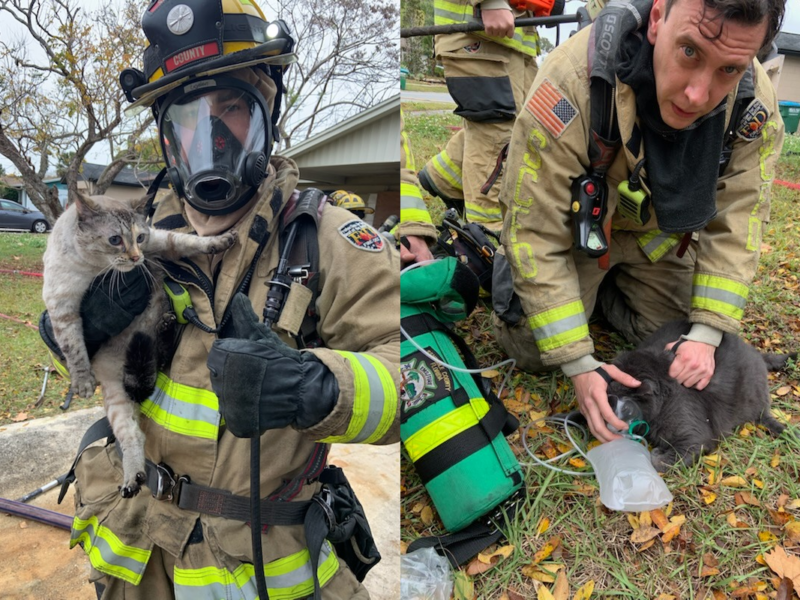 Two cats rescued from Winter Springs house fire