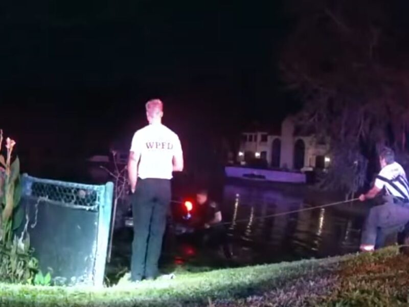 Elderly man rescued after truck plunges into Winter Park pond