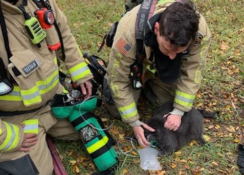 Seminole County Fire Dept rescues two cats from Winter Springs home on January 23, 2025 ff administering oxygen to one of the cats